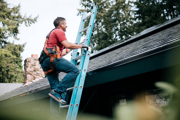 Best Chimney Flashing Repair  in Dawson, MN