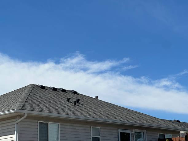 Best Green or Eco-Friendly Roofing Solutions  in Dawson, MN
